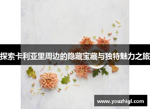 探索卡利亚里周边的隐藏宝藏与独特魅力之旅
