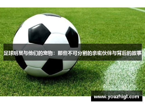 足球明星与他们的宠物：那些不可分割的亲密伙伴与背后的故事